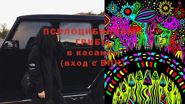 Альфа ПВП Алзамай