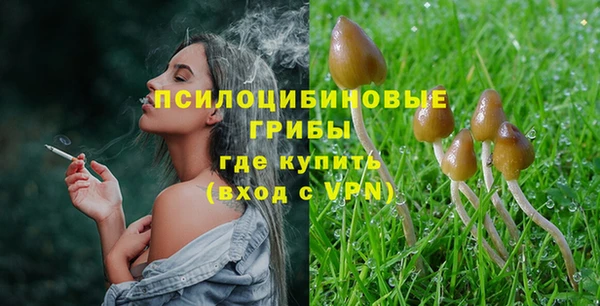 apvp Алексин