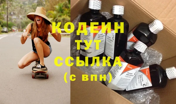 твердый Инта