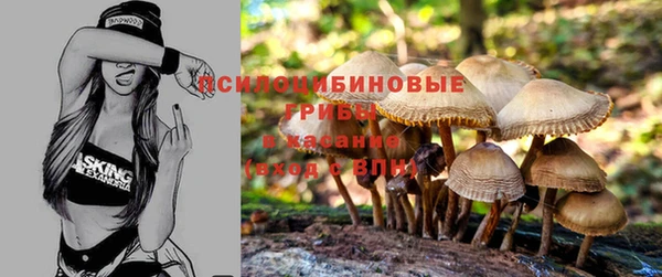 Альфа ПВП Алзамай