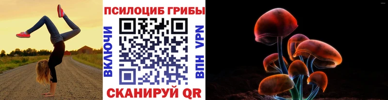 Псилоцибиновые грибы MAGIC MUSHROOMS  продажа наркотиков  Нижний Тагил 